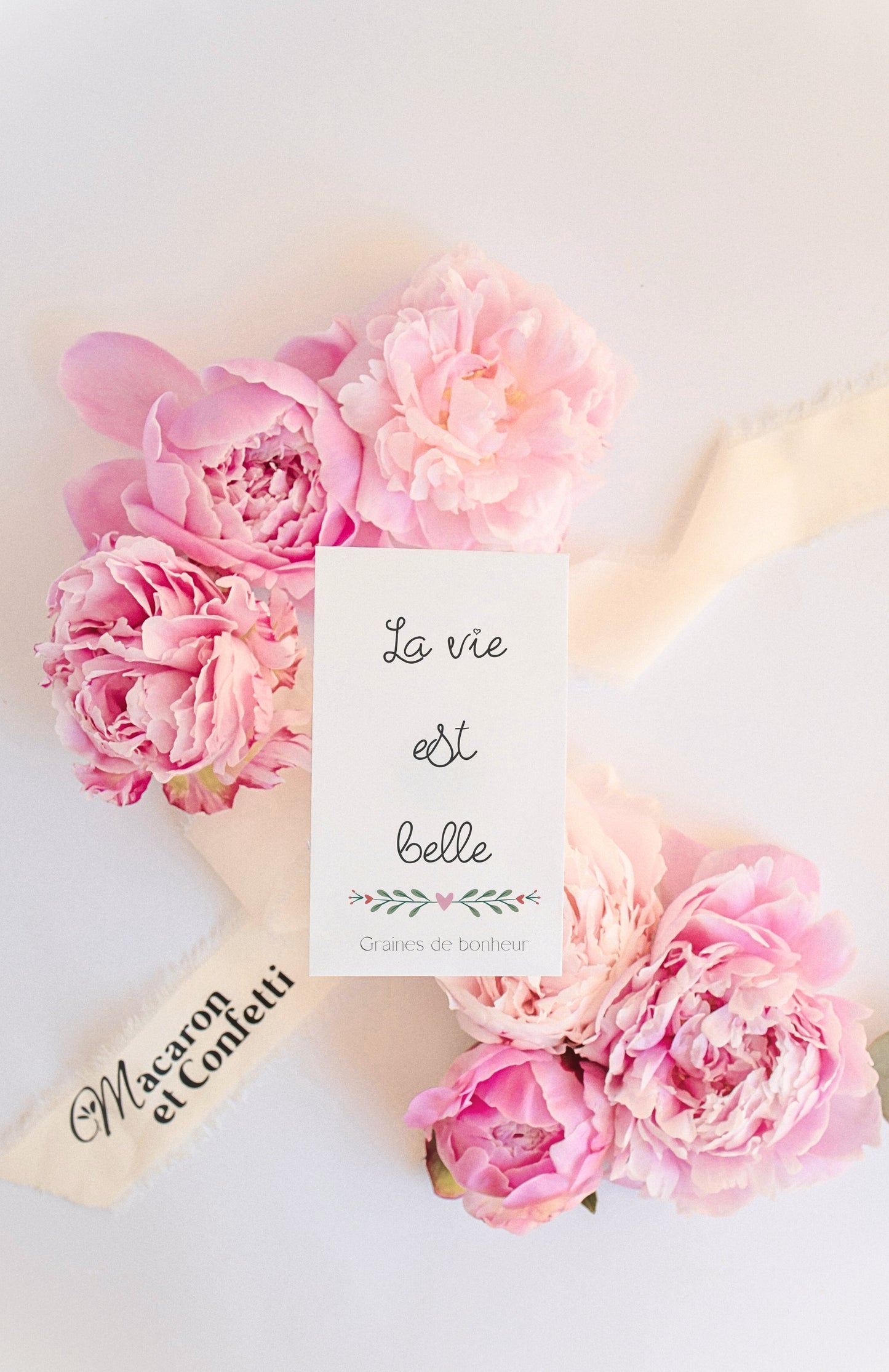 Sachet de graines : Modèle "La vie est belle - Variante 9"