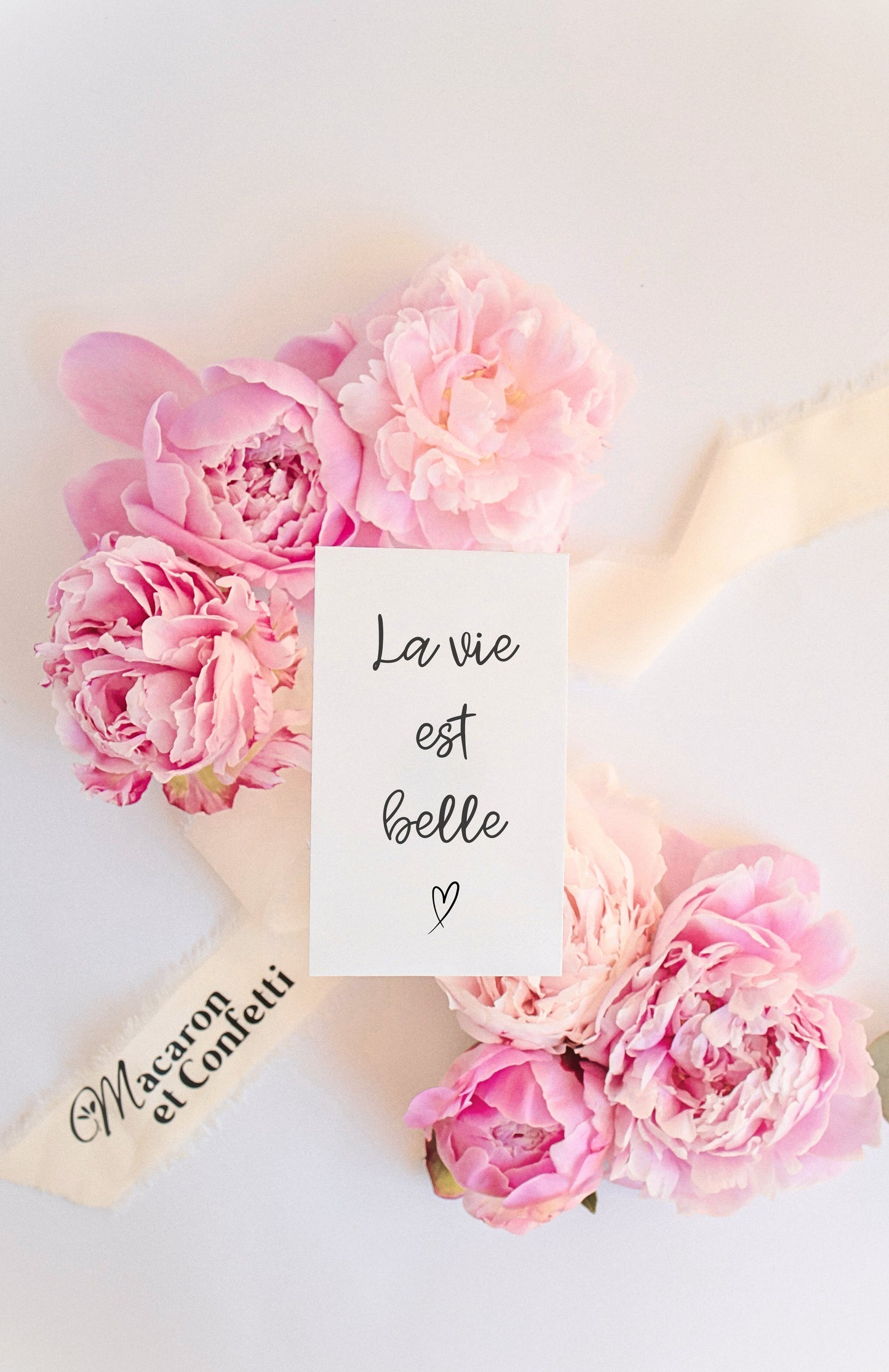 Sachet de graines : Modèle "La vie est belle"