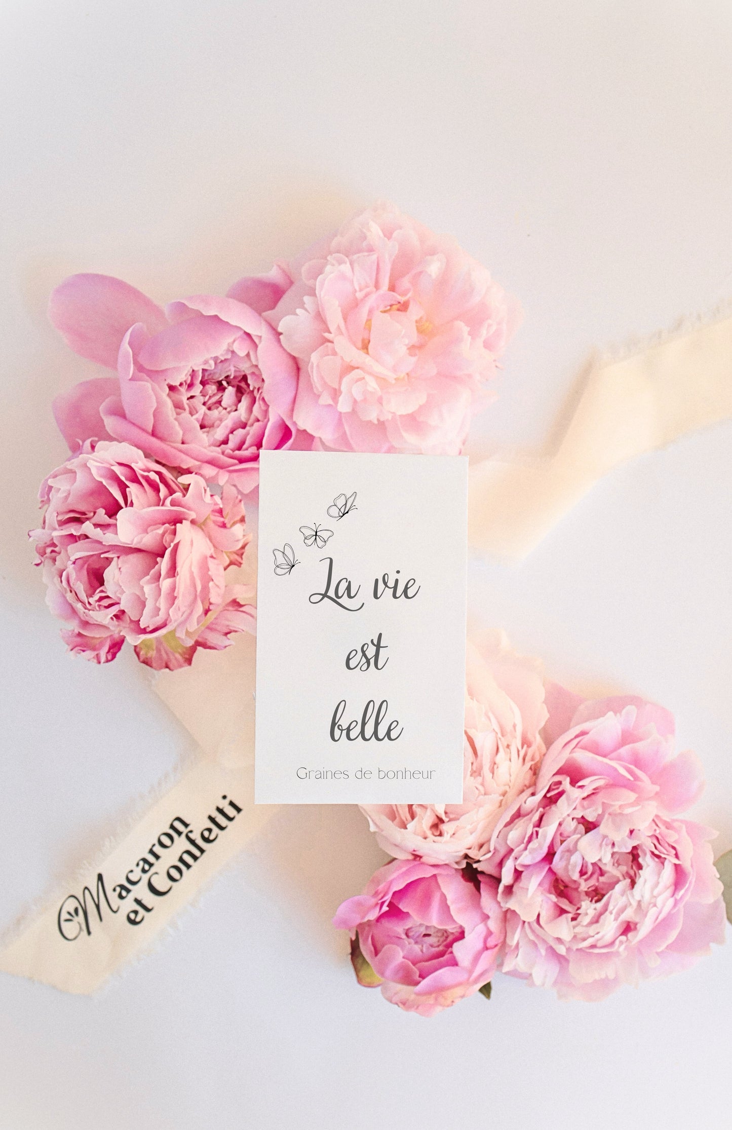 Sachet de graines : Modèle "La vie est belle - Variante 6"