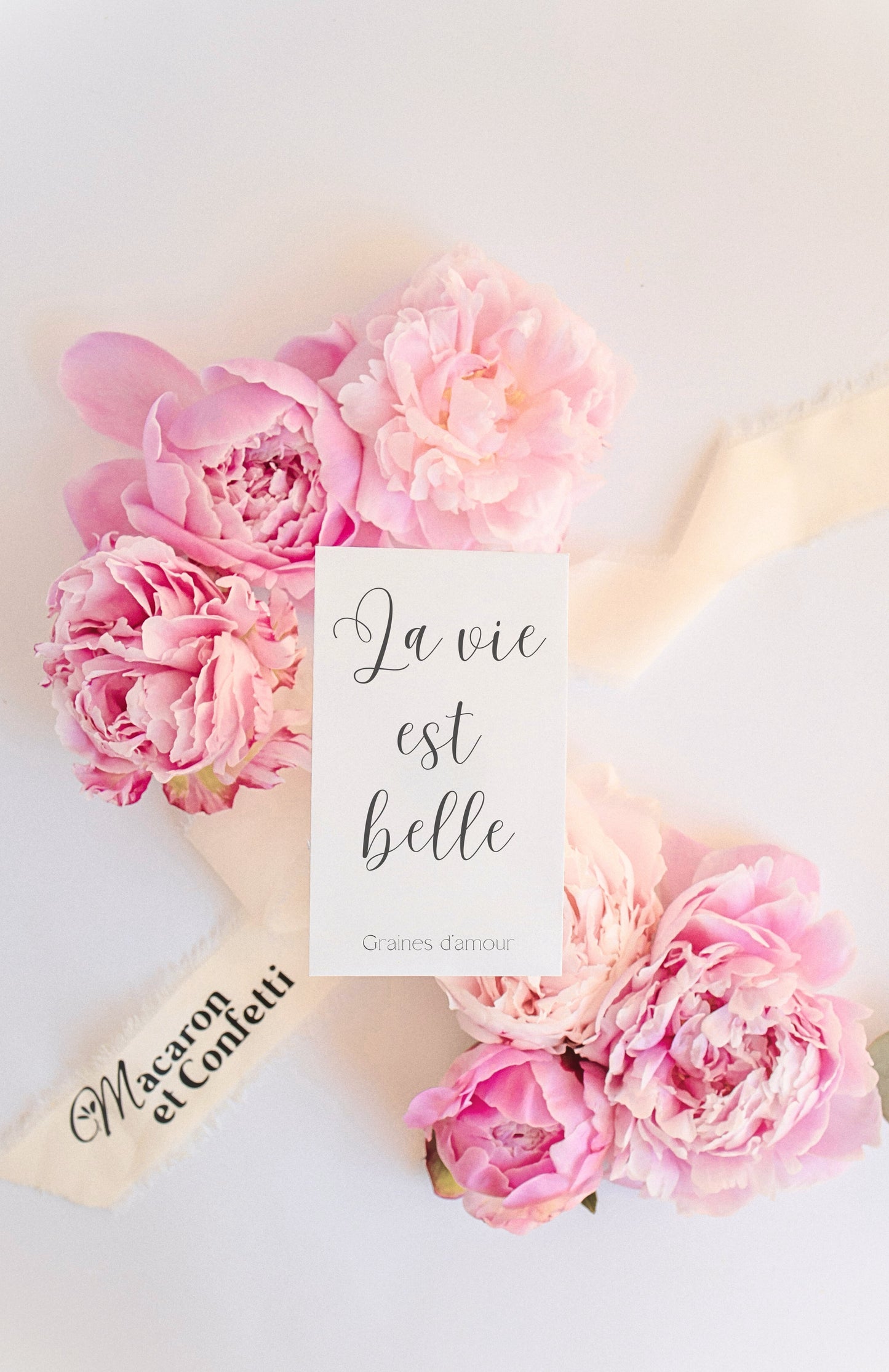 Sachet de graines : Modèle "La vie est belle - Variante 4"
