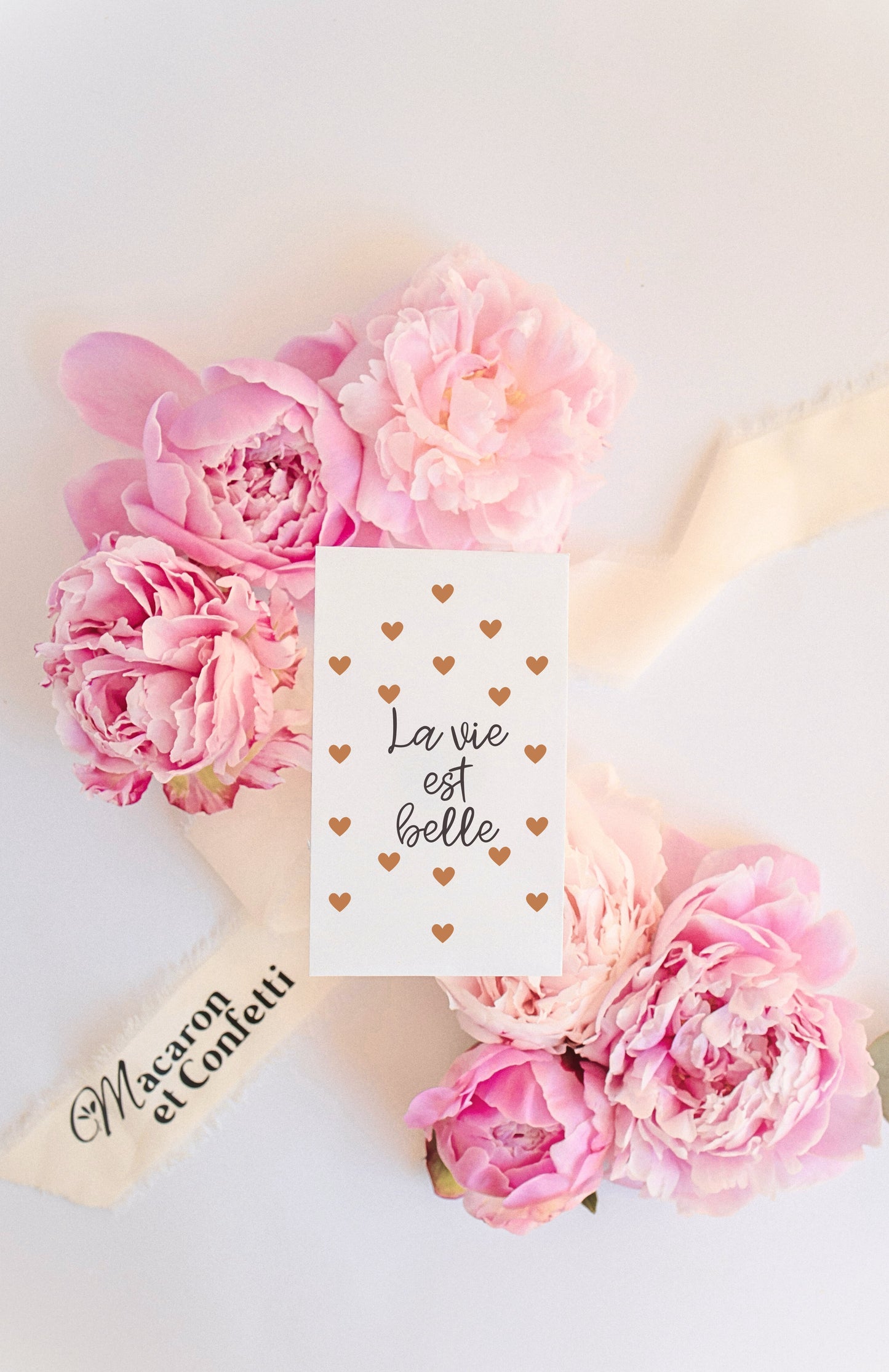 Sachet de graines : Modèle "La vie est belle - Variante 10"