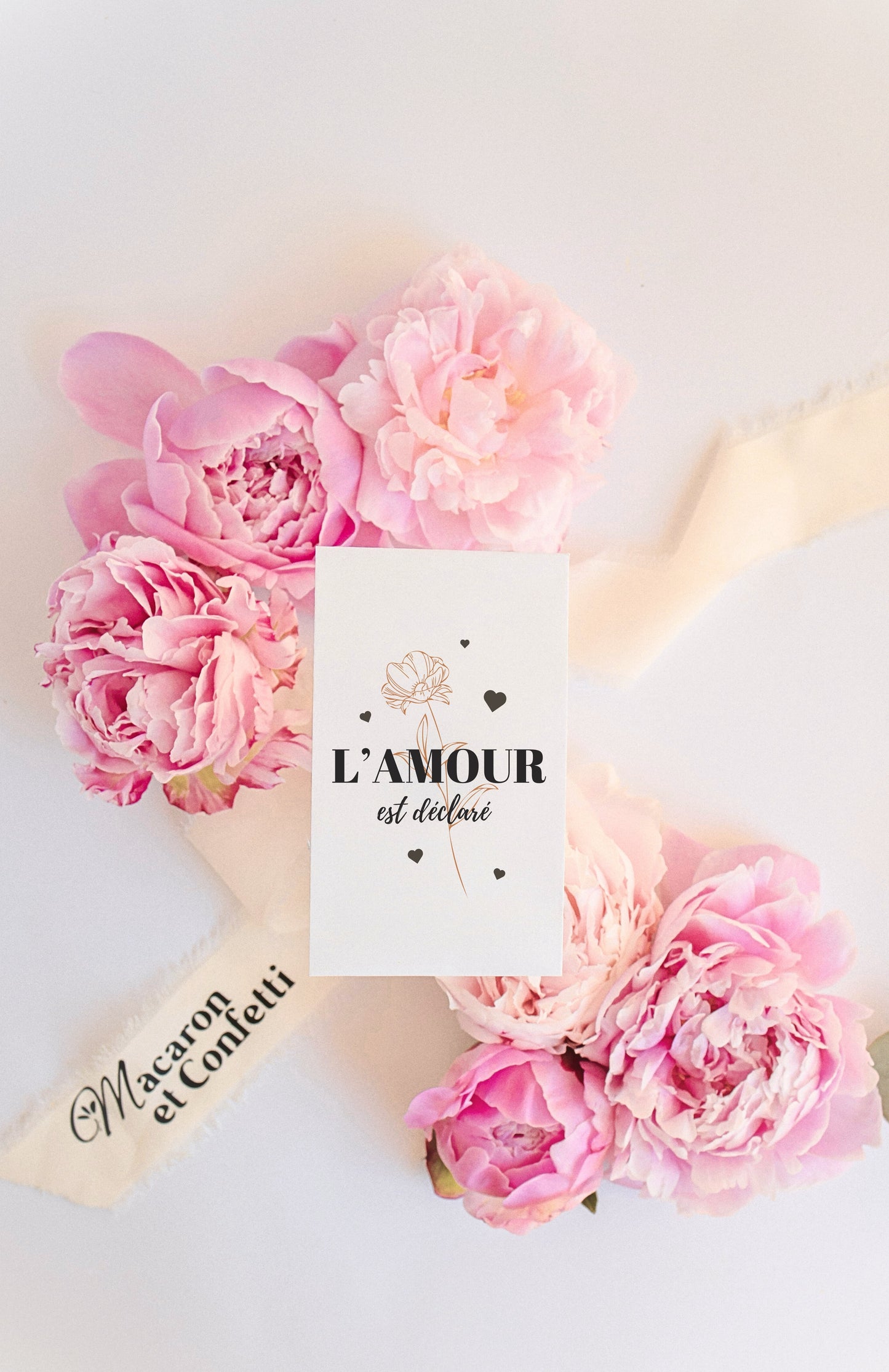 Sachet de graines : Modèle "L'amour est déclaré"