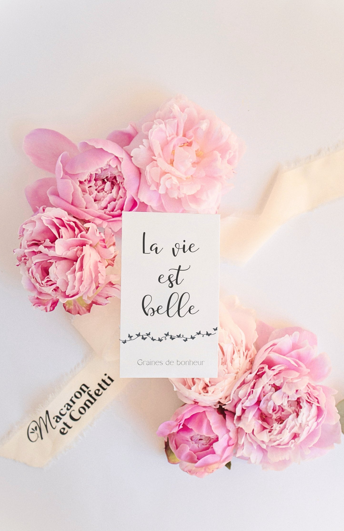 Sachet de graines : Modèle "La vie est belle - Variante 7"
