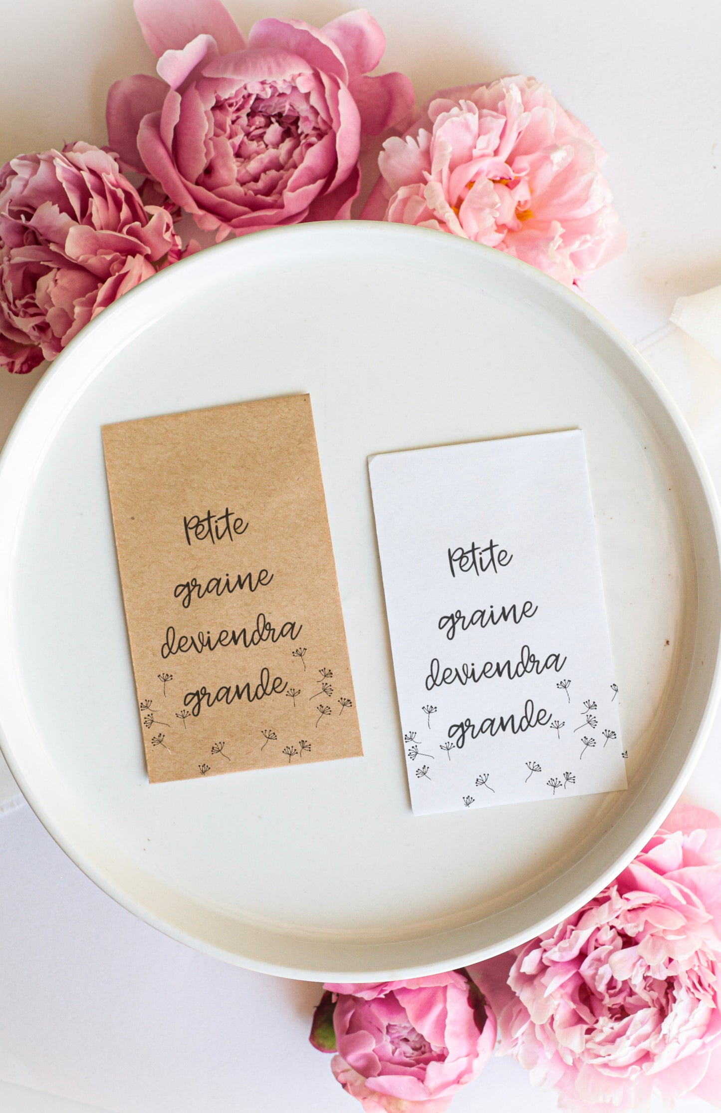 Sachet de graines : Modèle "Petite graine deviendra grande"