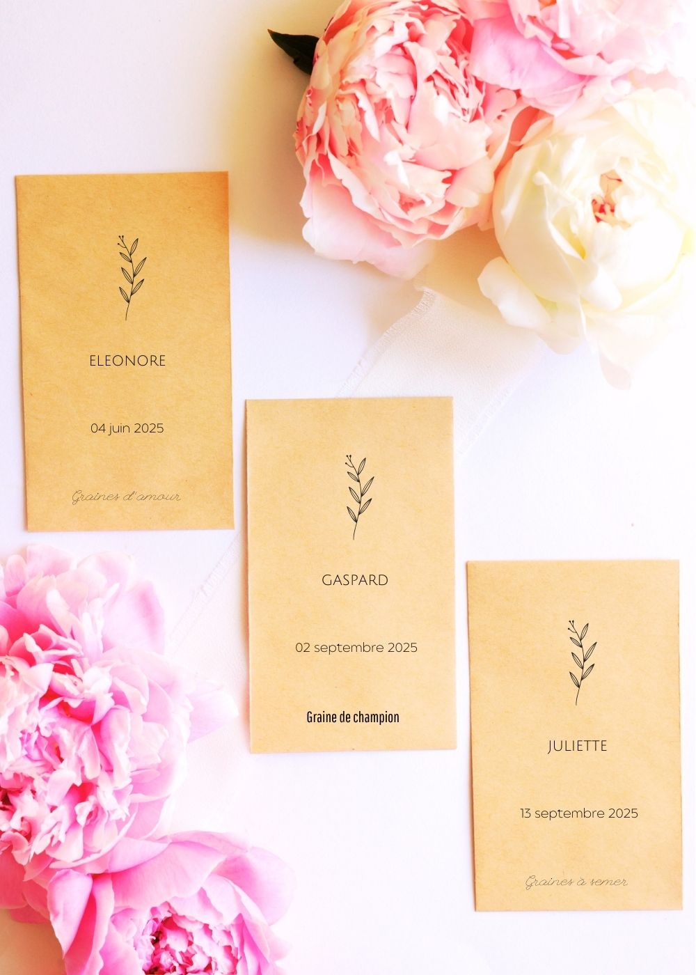 Sachets de graines - Naissance "Branche olivier"