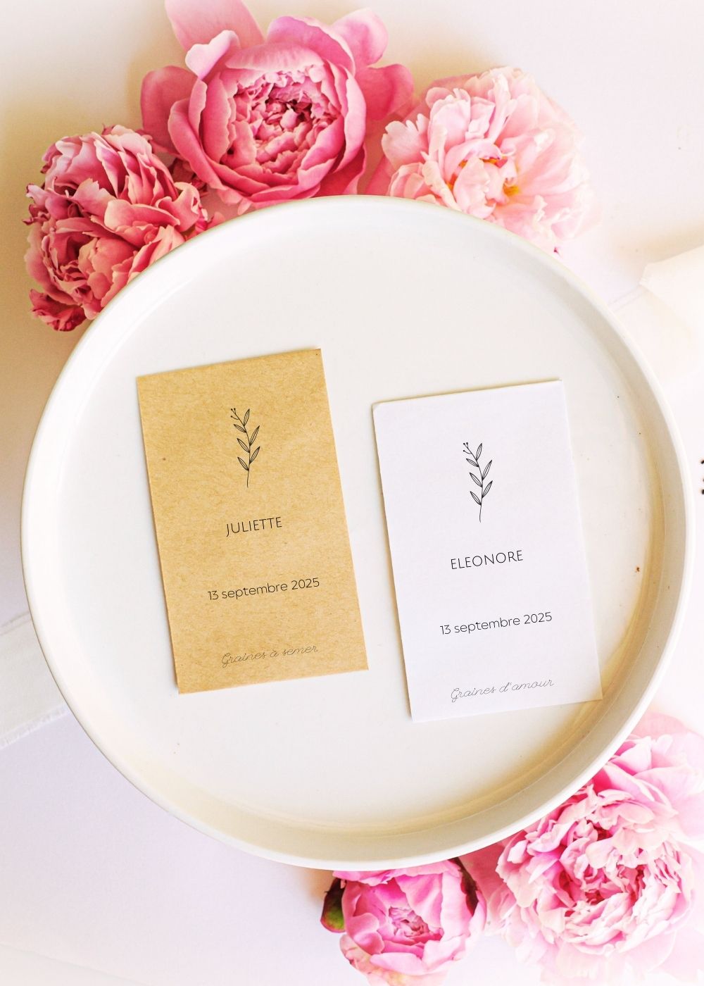 Sachets de graines - Naissance "Branche olivier"