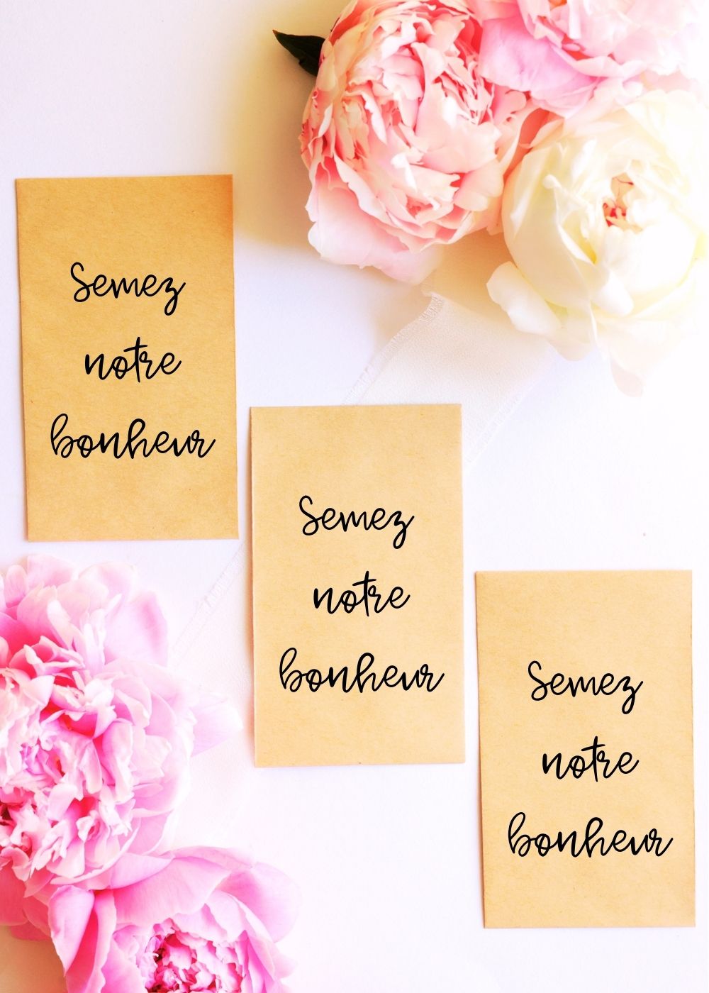 Sachets de graines - Prêt-à-offrir - "Semez notre bonheur"