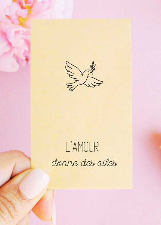 Sachets de graines - "L'amour donne des ailes"
